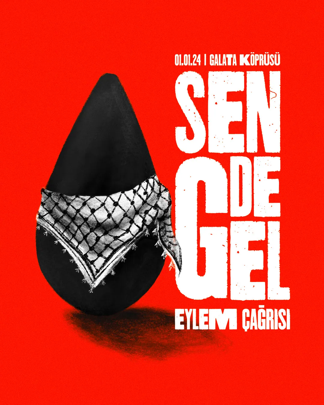 Tarık Akın, Filistin için afiş